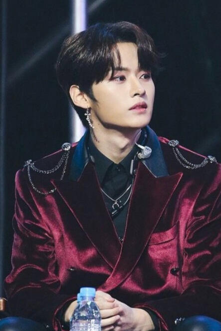 Bias (skz) : lee know